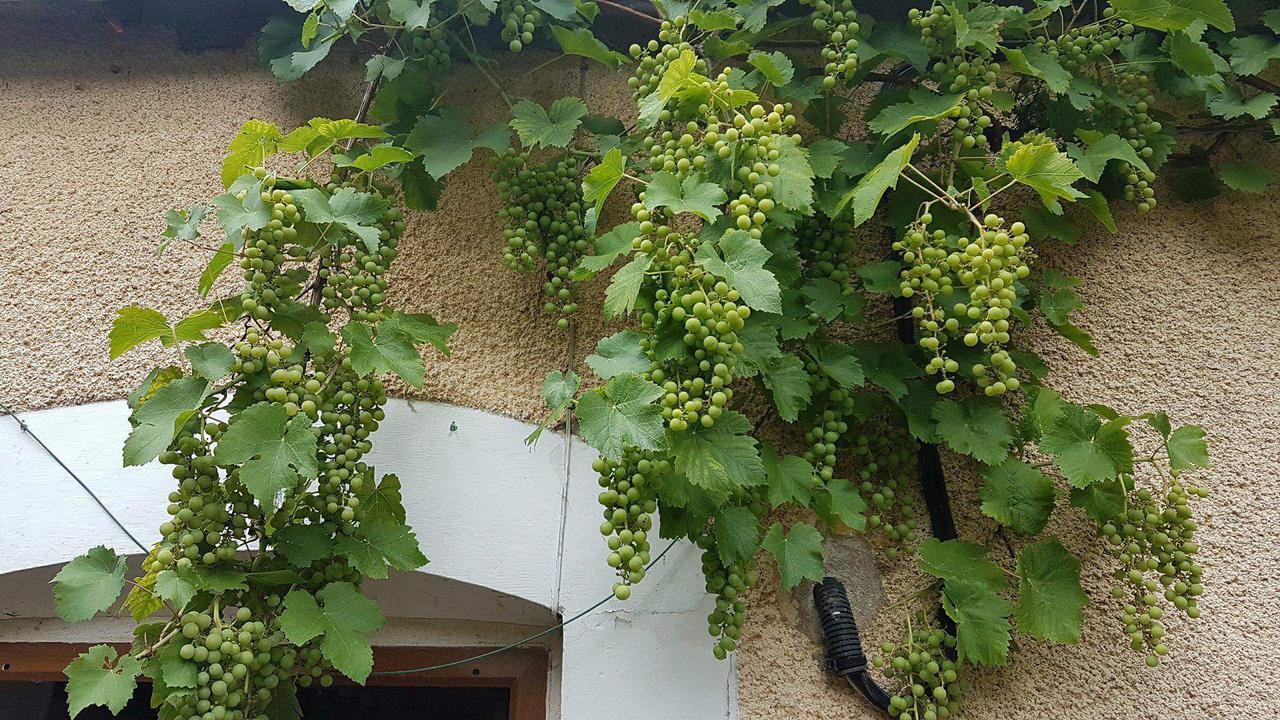 La Pouillyzotte Bed & Breakfast Eksteriør bilde